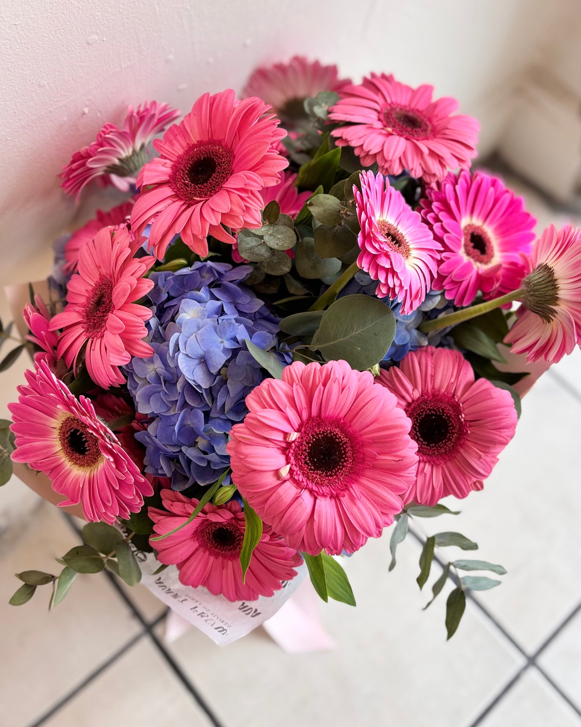 Hortensias